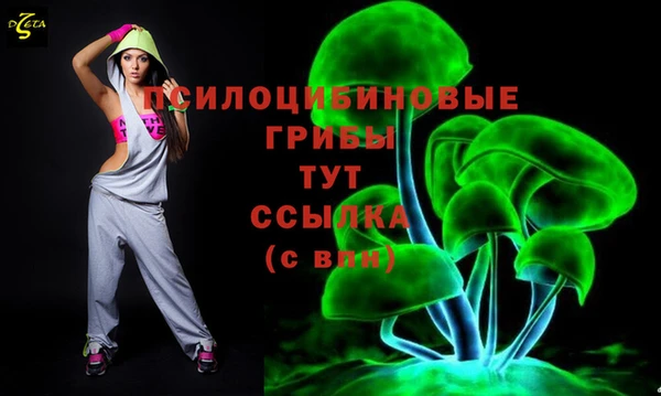 дурь Алексин