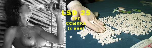хмурый Покров