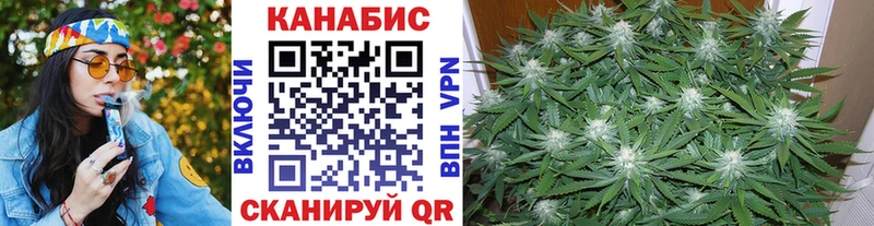 Канабис сатива Боровичи